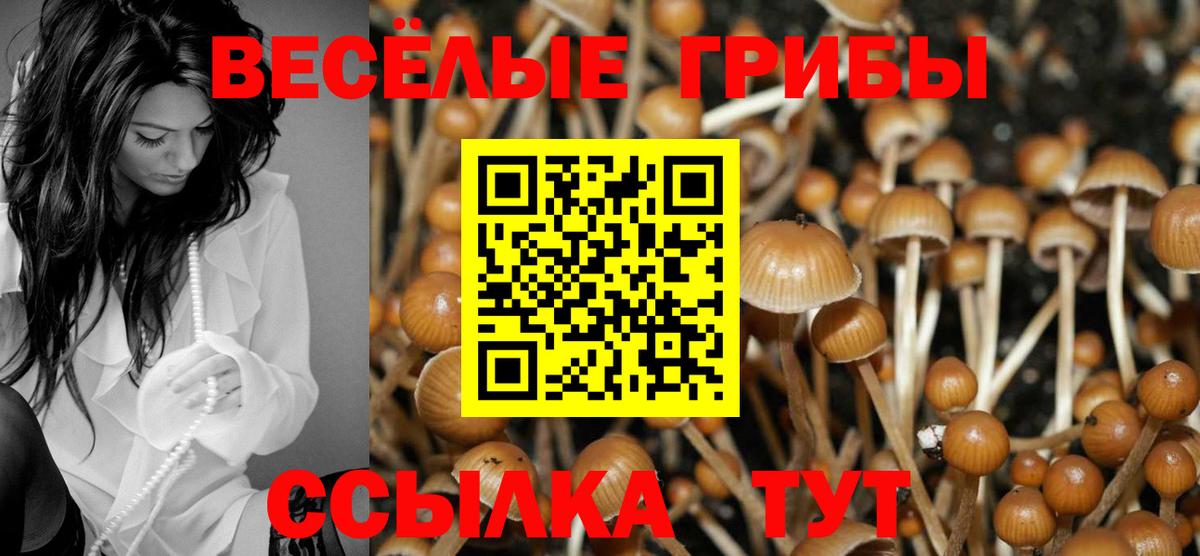Псилоцибиновые грибы Psilocybe  Вход с VPN  Галлюциногенные грибы Magic Shrooms  Биробиджан 